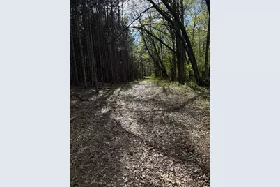 Tbd County Road 3, Merrifield, MN 56465 - Photo 25