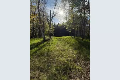 Tbd County Road 3, Merrifield, MN 56465 - Photo 9