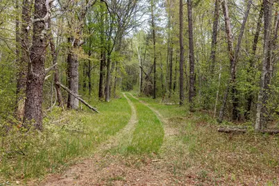 Tbd County Road 3, Merrifield, MN 56465 - Photo 7