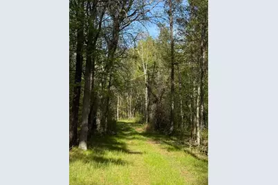 Tbd County Road 3, Merrifield, MN 56465 - Photo 11