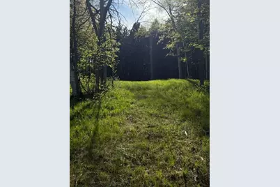 Tbd County Road 3, Merrifield, MN 56465 - Photo 29