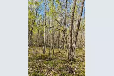 43056 County 45, Laporte, MN 56461 - Photo 27