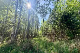 3805 Fraser Rd, Iron, MN 55751 - Photo 23