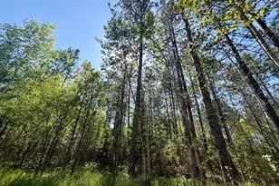 3805 Fraser Rd, Iron, MN 55751 - Photo 15