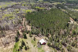 55893 Dove Ln, Northome, MN 56661 - Photo 97