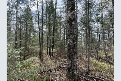 7355 Melrude Rd. W, Cotton, MN 55724 - Photo 61