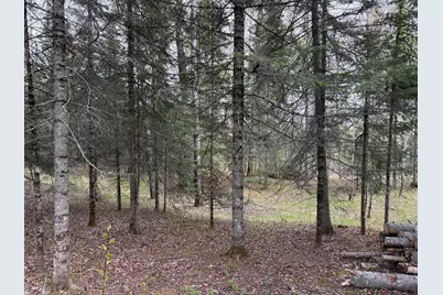 7355 Melrude Rd. W, Cotton, MN 55724 - Photo 27