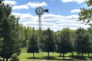 36999 Stanchfield Lake Rd NW, Dalbo, MN 55017 - Photo 3