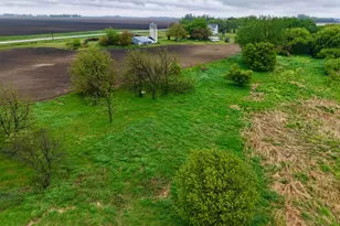 2623 State Hwy 62, Fulda, MN 56131 - Photo 3