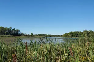 6560 Norris Lake Rd NW, Elk River, MN 55330 - Photo 69