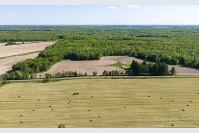 40 Acres 270th Street, Cornell, WI 54732 - Photo 7