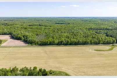 40 Acres 270th Street, Cornell, WI 54732 - Photo 9