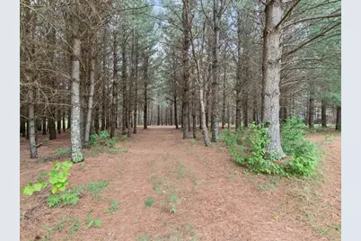 1358 County Road 17 SW, Pequot Lakes, MN 56472 - Photo 53