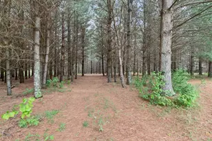 1358 County Road 17 SW, Pequot Lakes, MN 56472 - Photo 53