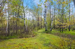 39818 257th Ave, McGregor, MN 55760 - Photo 49