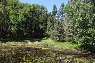 40189 315th Ln, Aitkin, MN 56431 - Photo 57