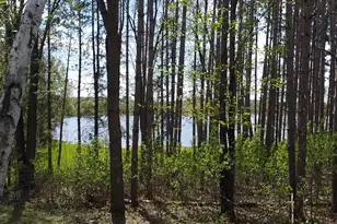 40189 315th Ln, Aitkin, MN 56431 - Photo 33