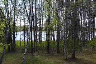 40189 315th Ln, Aitkin, MN 56431 - Photo 43