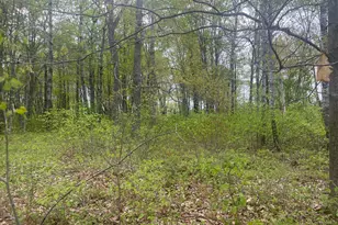 44091 Duxbury Rd, Sandstone, MN 55072 - Photo 37