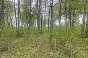44091 Duxbury Rd, Sandstone, MN 55072 - Photo 39