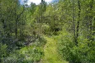 12644 State Hwy 70, Pine City, MN 55063 - Photo 49