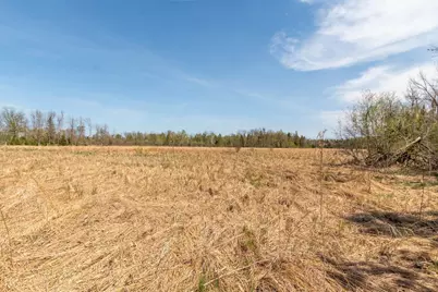 Tbd Stephani Road NW, Puposky, MN 56667 - Photo 17
