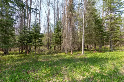 Tbd Stephani Road NW, Puposky, MN 56667 - Photo 13