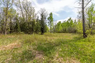 Tbd Stephani Road NW, Puposky, MN 56667 - Photo 1