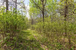 Tbd Stephani Road NW, Puposky, MN 56667 - Photo 1