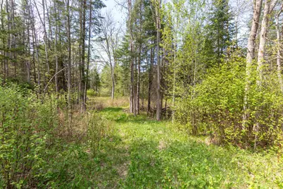 Tbd Stephani Road NW, Puposky, MN 56667 - Photo 3