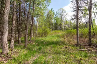 Tbd Stephani Road NW, Puposky, MN 56667 - Photo 5