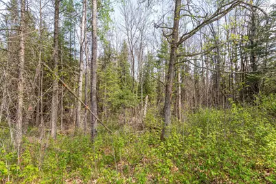 Tbd Stephani Road NW, Puposky, MN 56667 - Photo 7