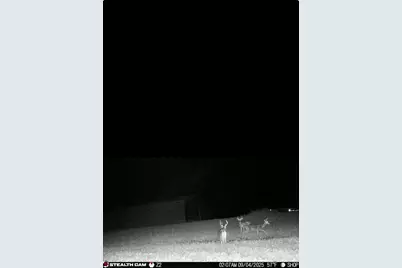 Co 11 Co 11, Audubon, MN 56511 - Photo 7