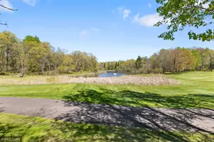 24058 Spruce Ct, Nisswa, MN 56468 - Photo 41