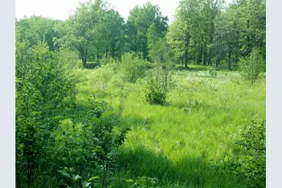 10005 Rice Road, Brook Park, MN 55007 - Photo 3