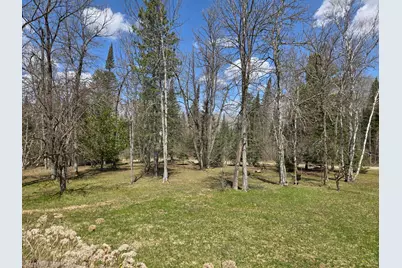 37373 Hanson Road, Bigfork, MN 56628 - Photo 25