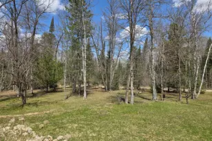 37373 Hanson Rd, Bigfork, MN 56628 - Photo 25