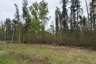 9235 Ossawinnamakee Rd, Pequot Lakes, MN 56472 - Photo 1