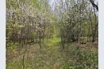 41721 County 2, Bagley, MN 56621 - Photo 25