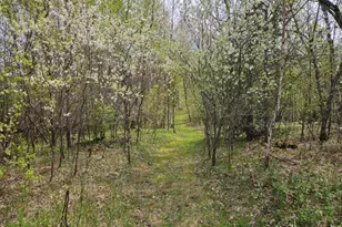 41721 County 2, Bagley, MN 56621 - Photo 25