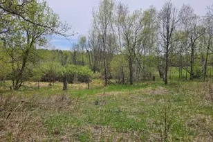 41721 County 2, Bagley, MN 56621 - Photo 29