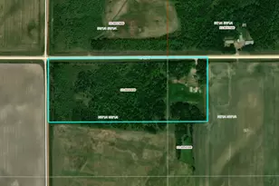 24306 Co Rd 6, Strathcona, MN 56759 - Photo 39