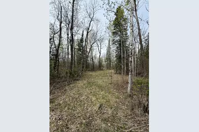24306 County Road 6, Strathcona, MN 56759 - Photo 37