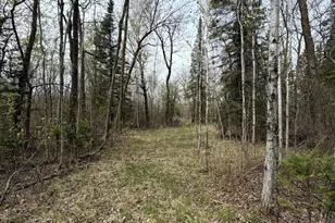 24306 Co Rd 6, Strathcona, MN 56759 - Photo 37