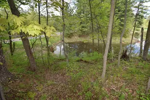 3346 65th St, Frederic, WI 54837 - Photo 45