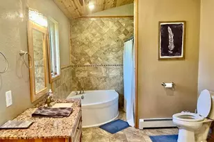 35878 678th St, Hill Lake Twp, MN 55748 - Photo 19