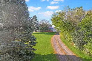 17238 County Hwy 46, Vesta, MN 56292 - Photo 23
