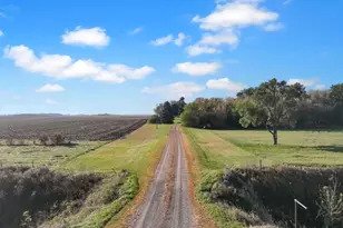 17238 County Hwy 46, Vesta, MN 56292 - Photo 19
