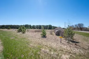 Tbd Lot 1 Block 2 Deer Ln, Wadena, MN 56482 - Photo 3