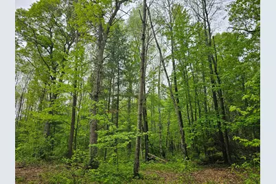 25227 Kruger Road, Webster, WI 54893 - Photo 7